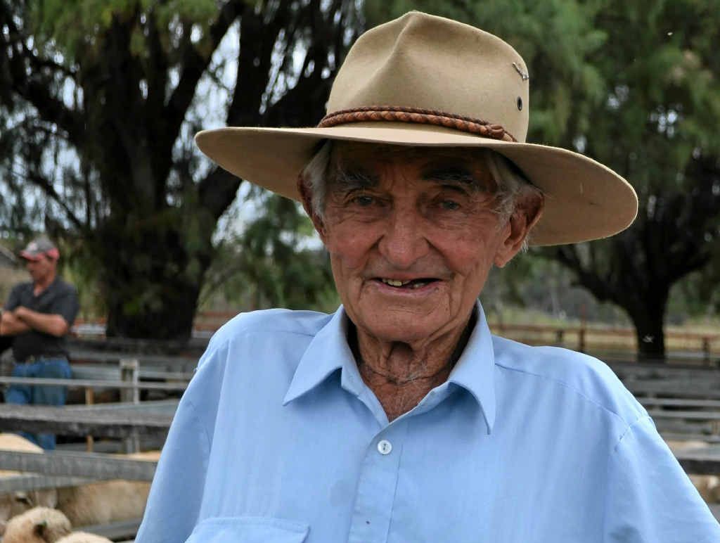 Dalveen farmer Peter Bondfield was the first in Australia to own and breed Charolais cattle. Dalveen farmer Peter Bondfield was the first in Australia to own and breed Charolais cattle.